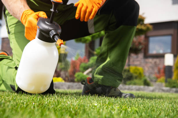 Best Pest Removal Services  in Duquesne, PA