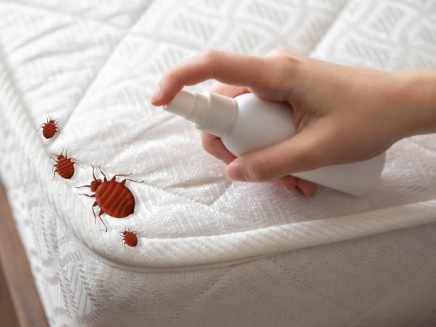 Pest Control Cost in Duquesne, PA