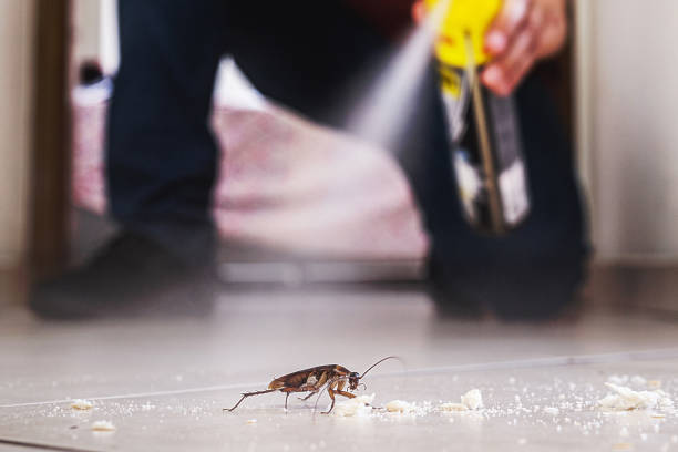 Best Cockroach Control Services  in Duquesne, PA